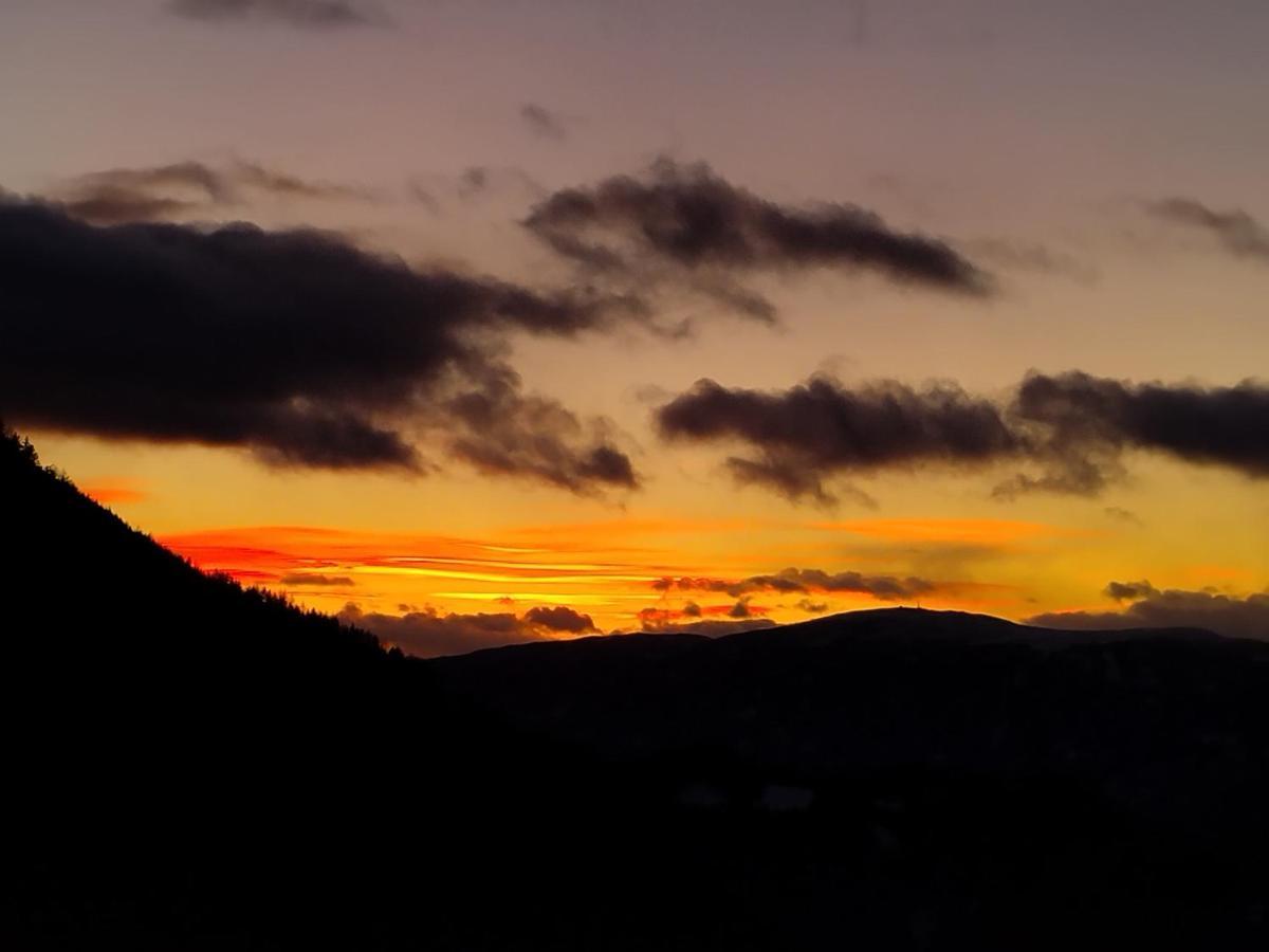 Zimmererhof Μπρεσανόνε Εξωτερικό φωτογραφία